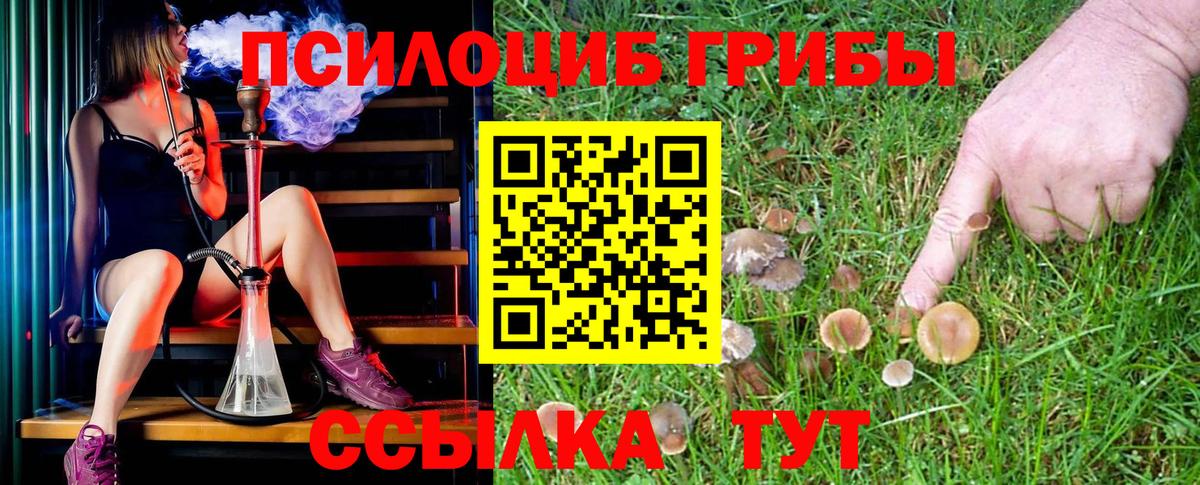 Фурманов  закладки  Вход с VPN  Псилоцибиновые грибы мухоморы 
