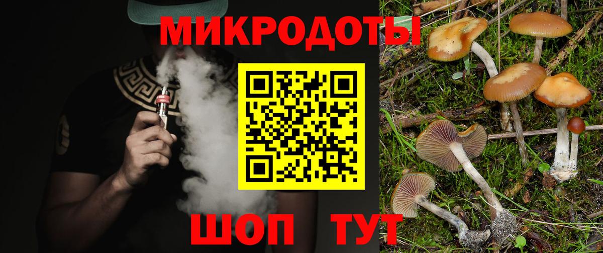 Псилоцибиновые грибы Magic Shrooms Фурманов