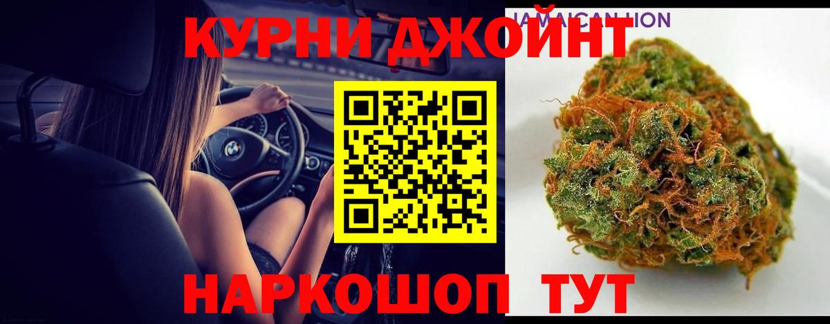 Каннабис планчик Фурманов